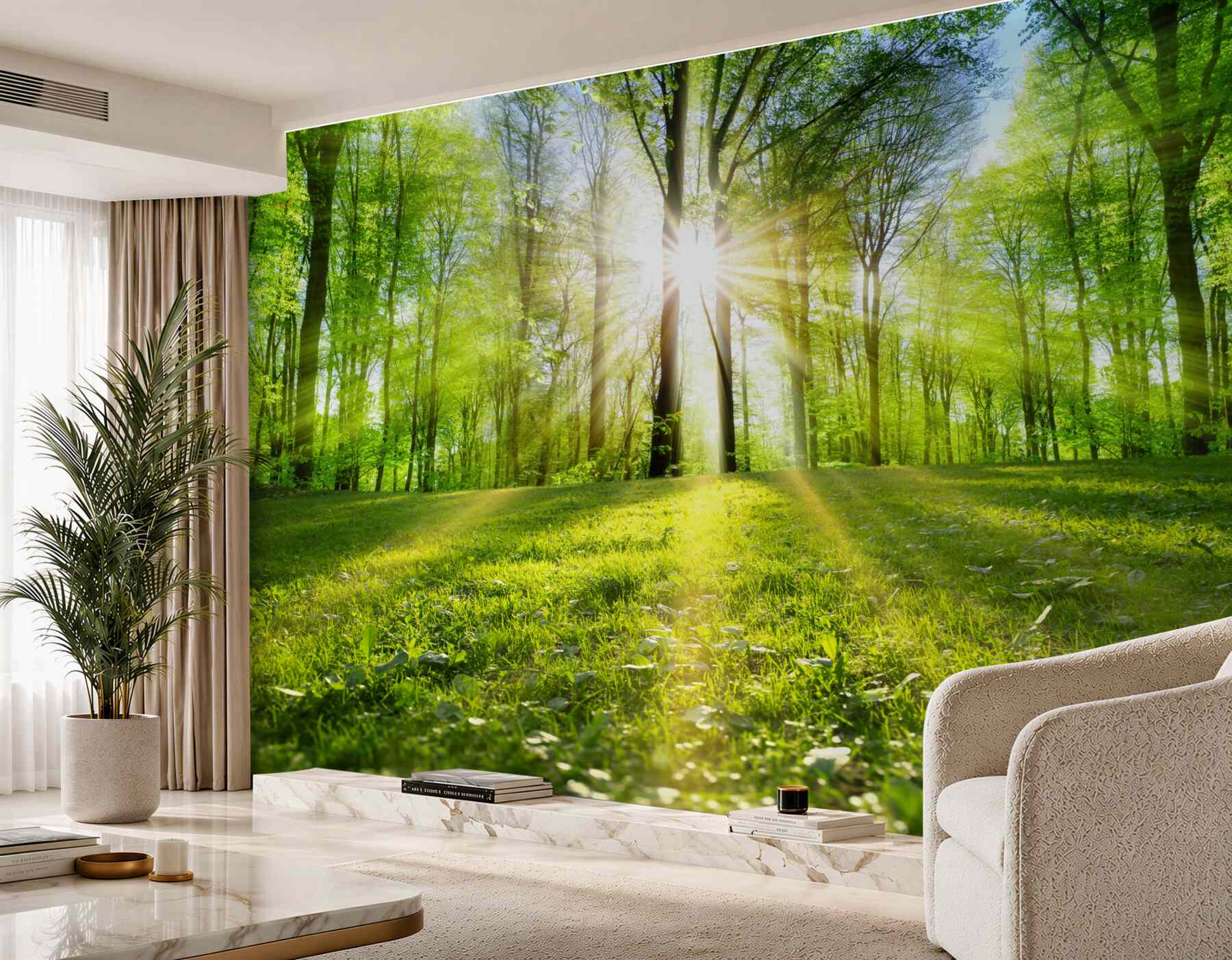 Fototapeta promienie słońca przez drzewa?v23