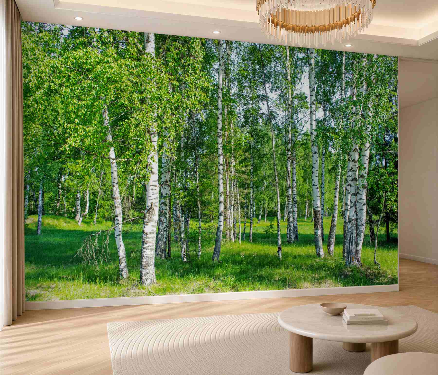Fototapeta zielone brzozy w letnim gaju?v23