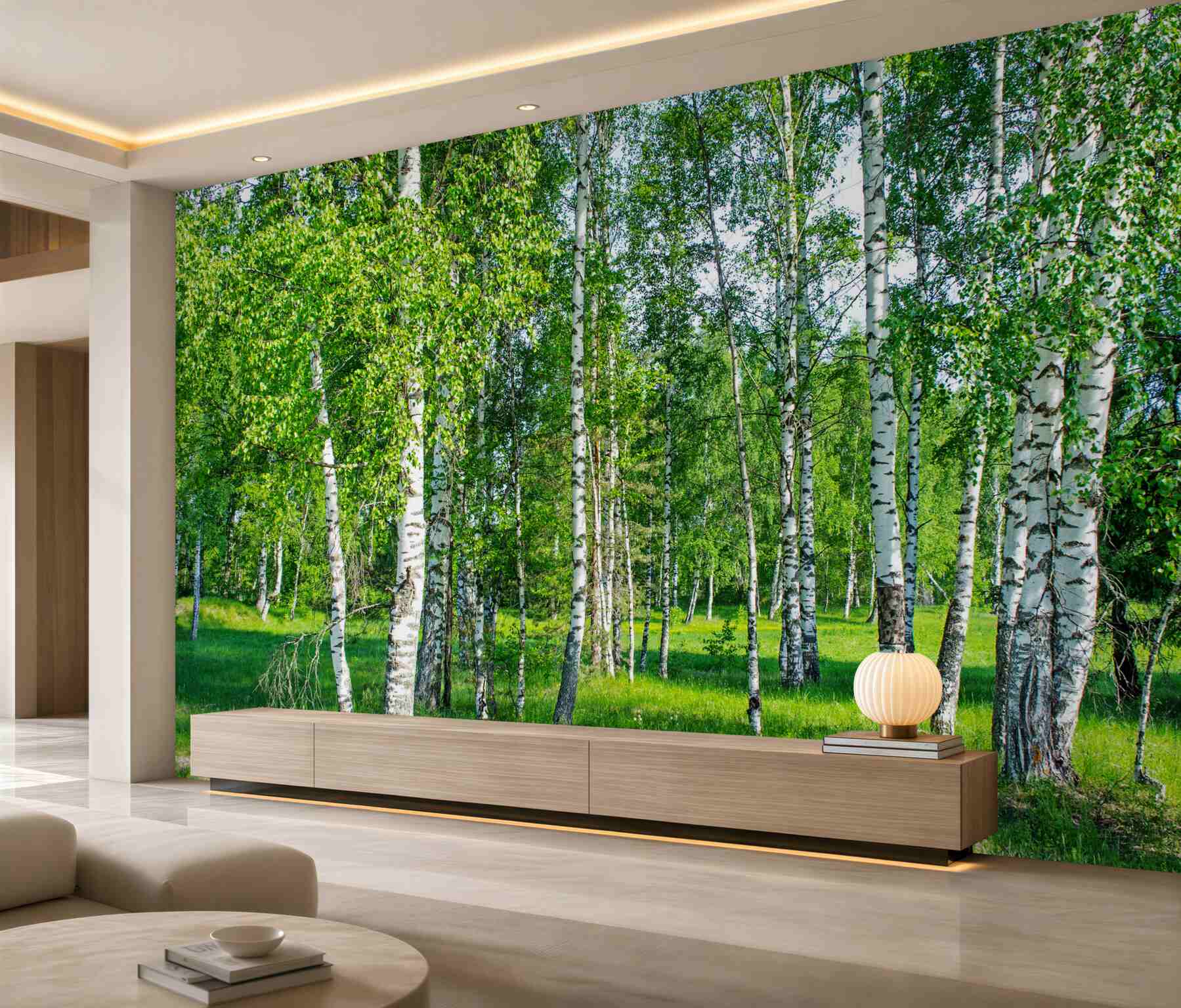 Fototapeta zielone brzozy w letnim gaju?v23