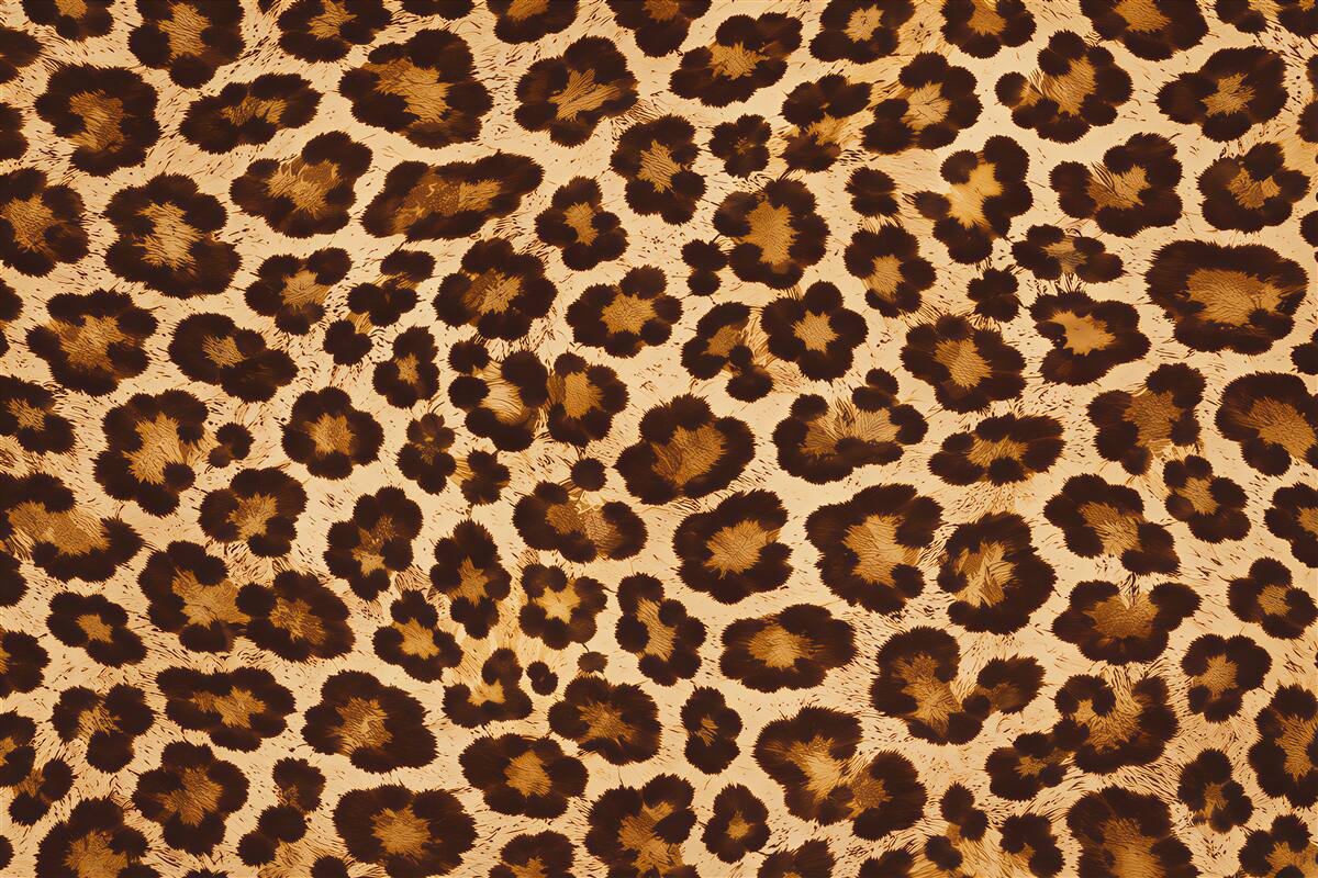 Last Product image