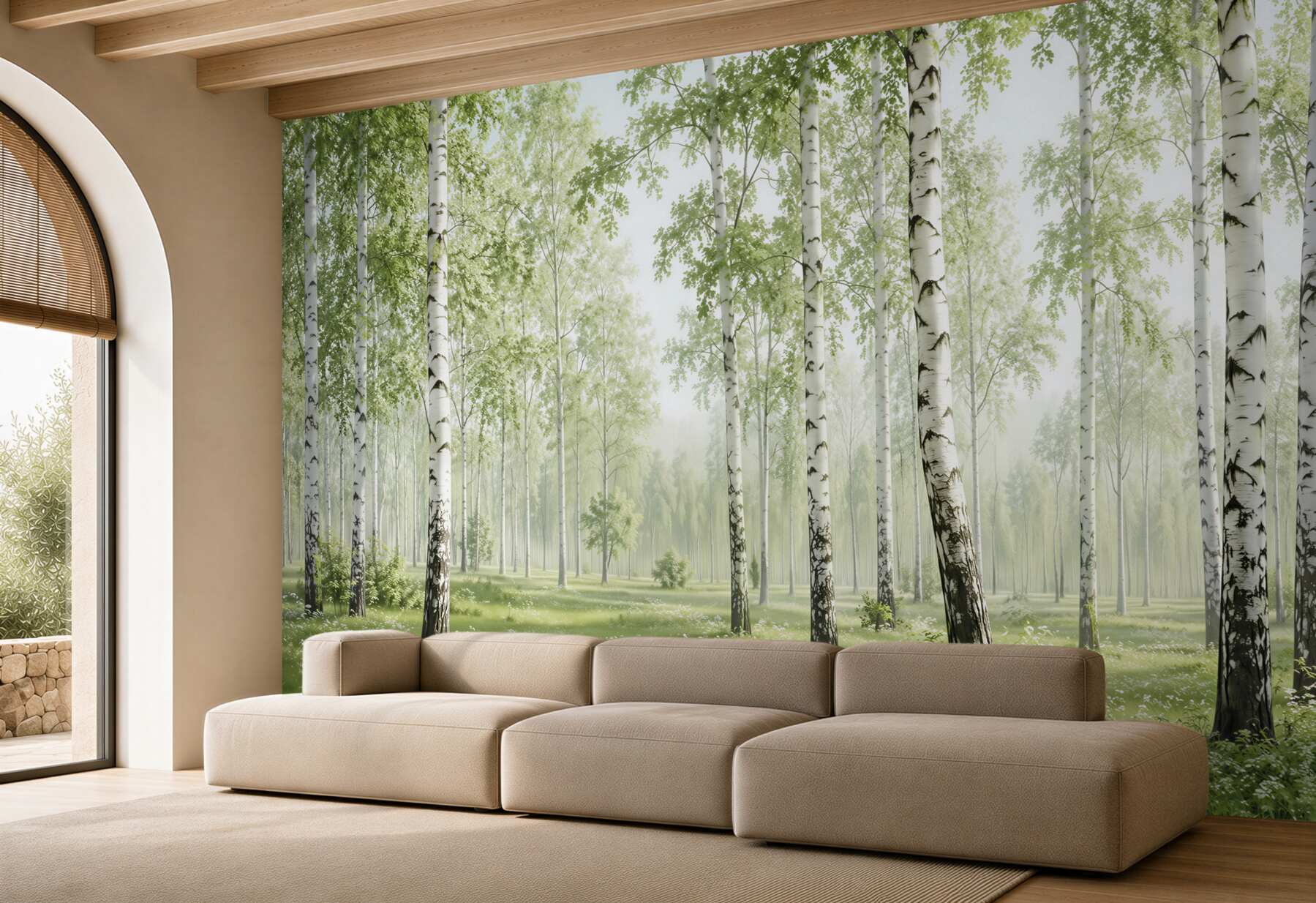 Fototapeta wiele brzoz w lesie?v23