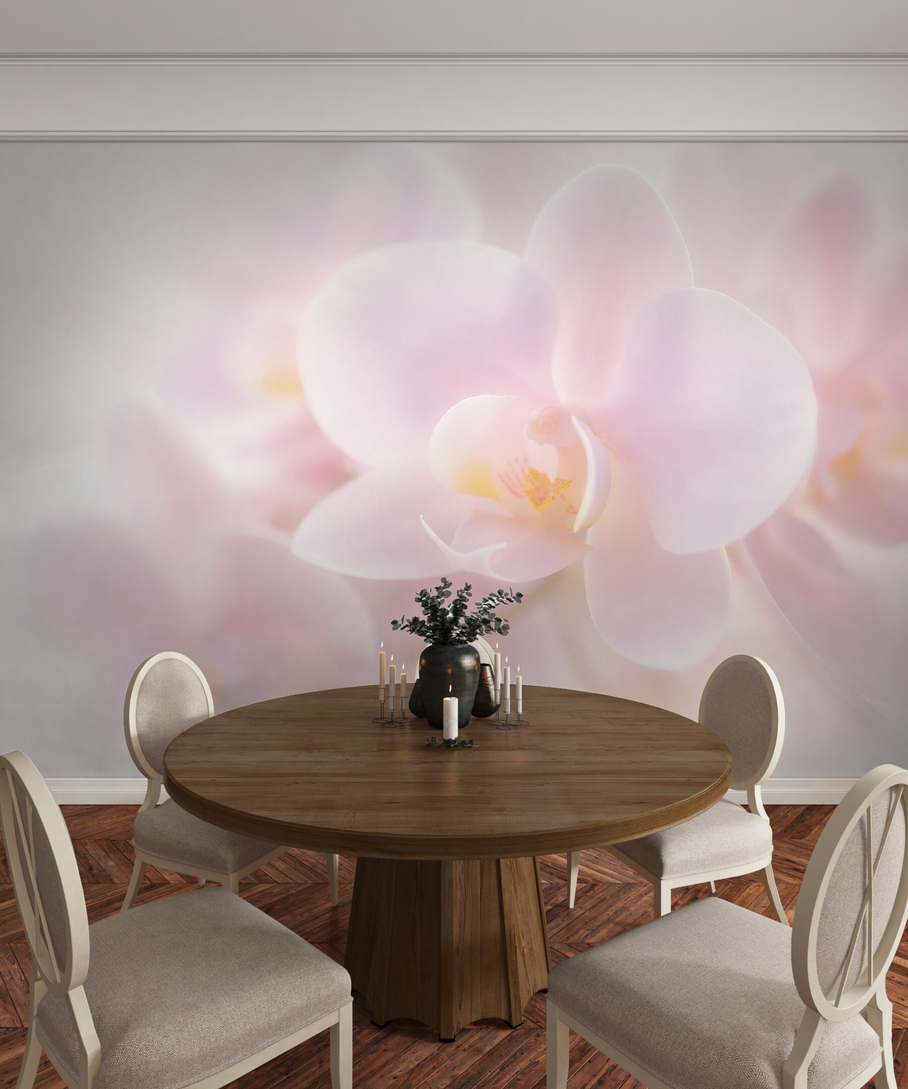Fototapeta delikatna biała orchidea?v23