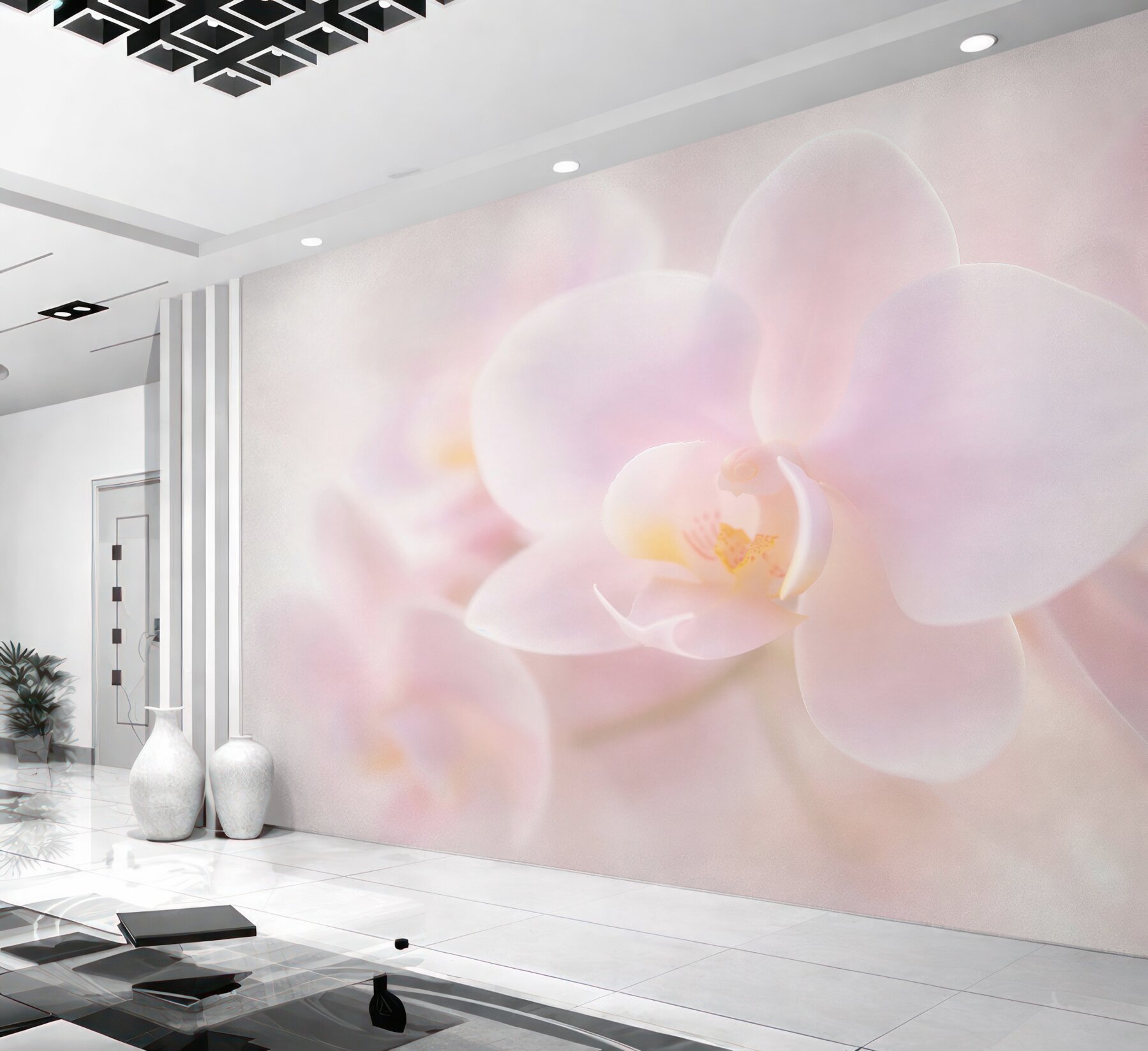 Fototapeta delikatna biała orchidea?v23