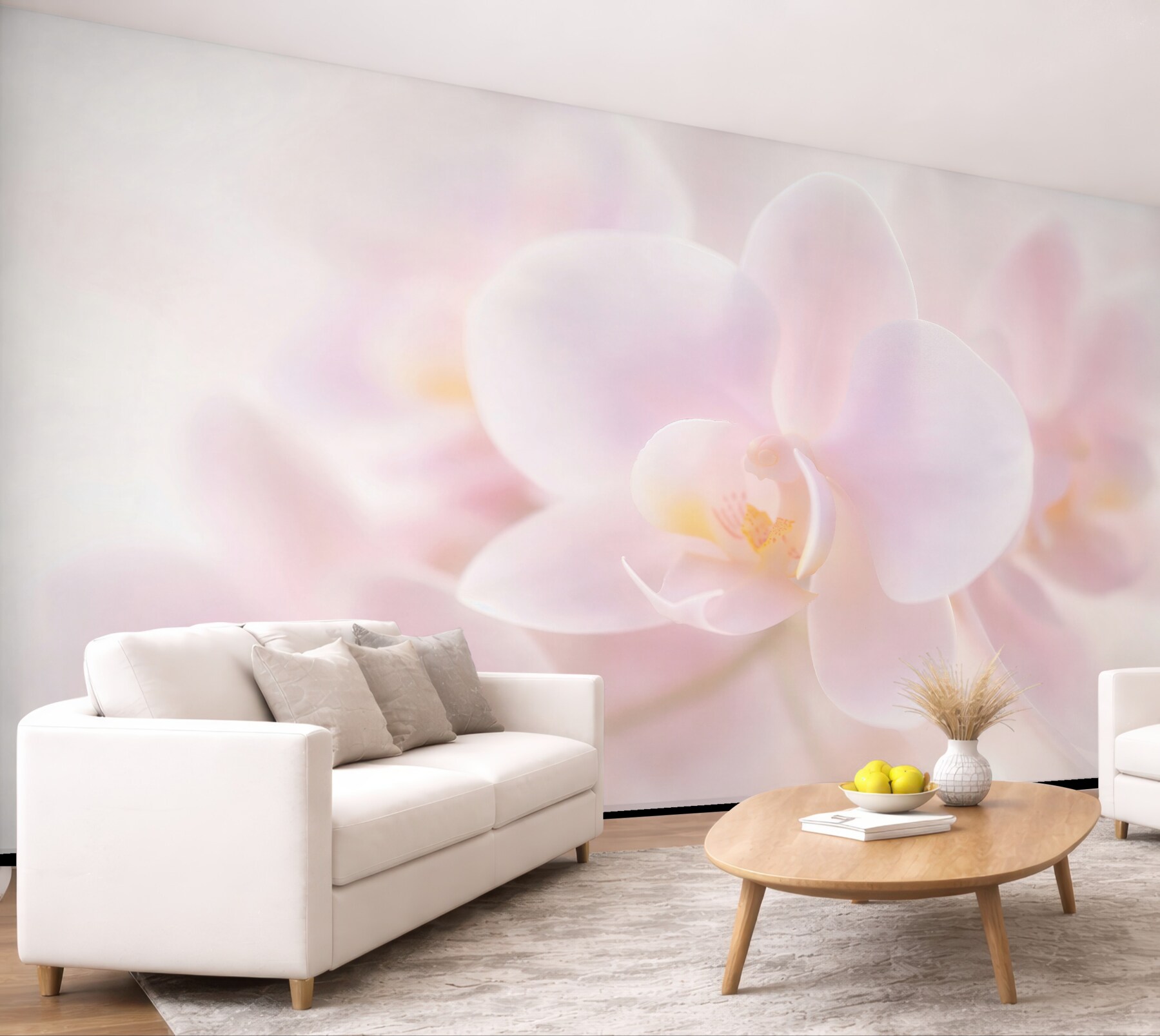 Fototapeta delikatna biała orchidea?v23