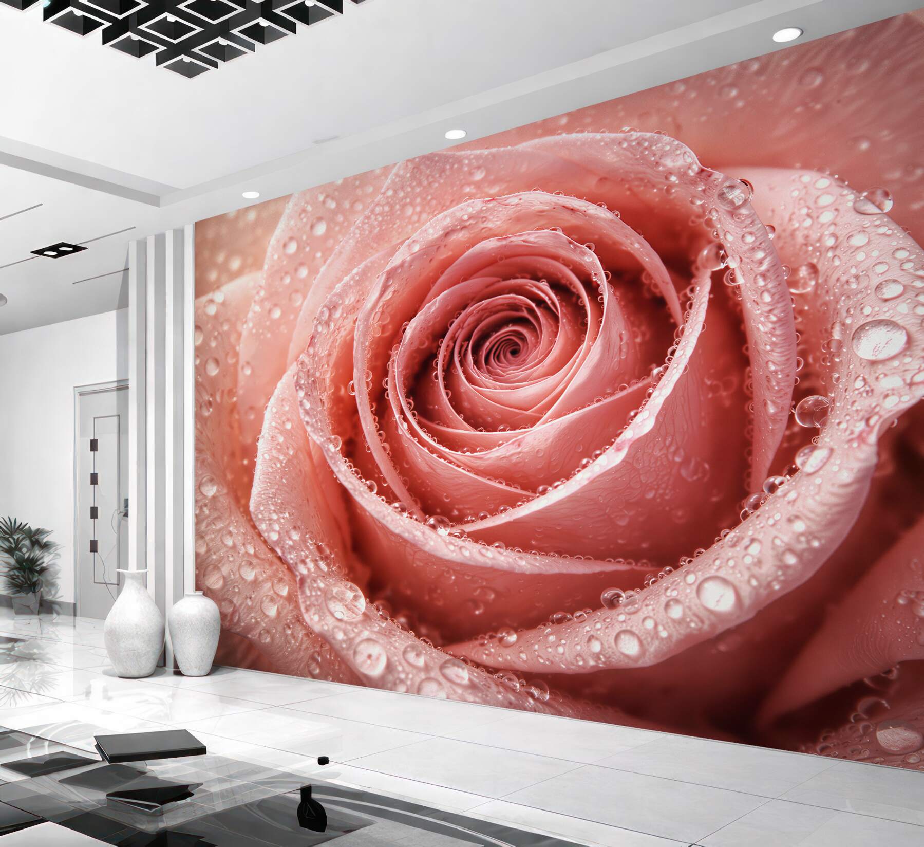 Fototapeta pudrowa róża w kroplach rosy?v23