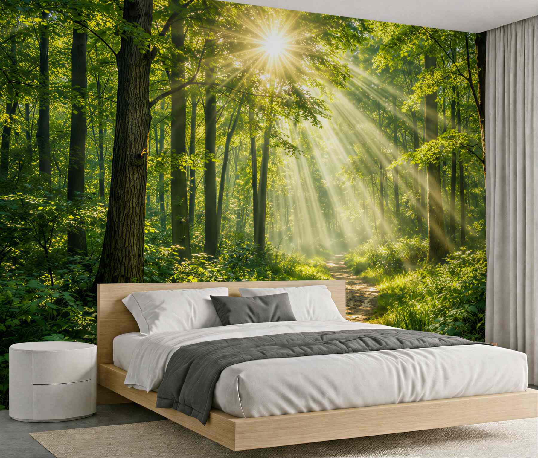 Fototapeta słoneczny las z leśną ścieżką?v23