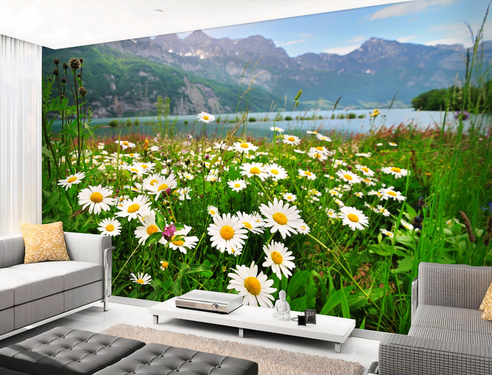 Fototapety Stokrotki