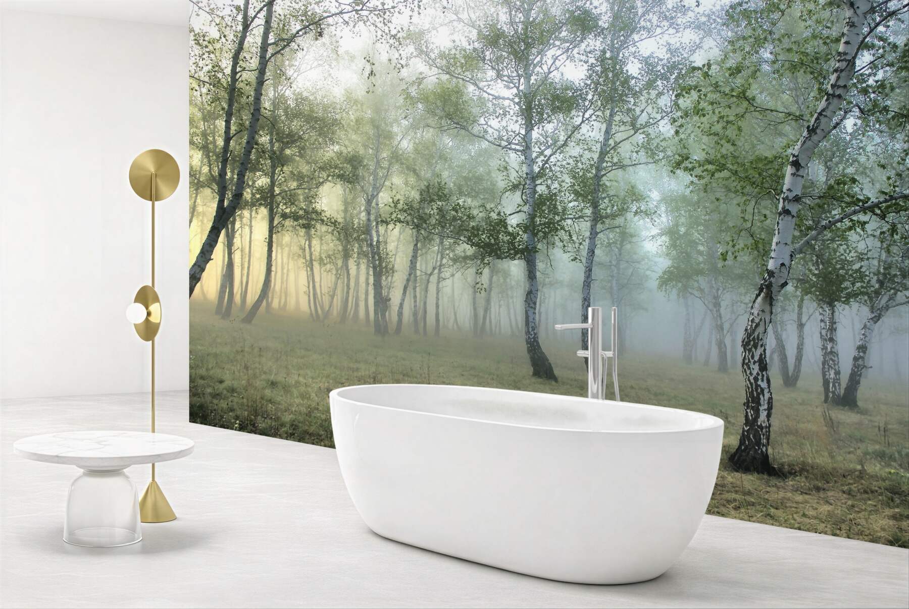 Fototapeta smukłe brzozy w porannej mgle?v23