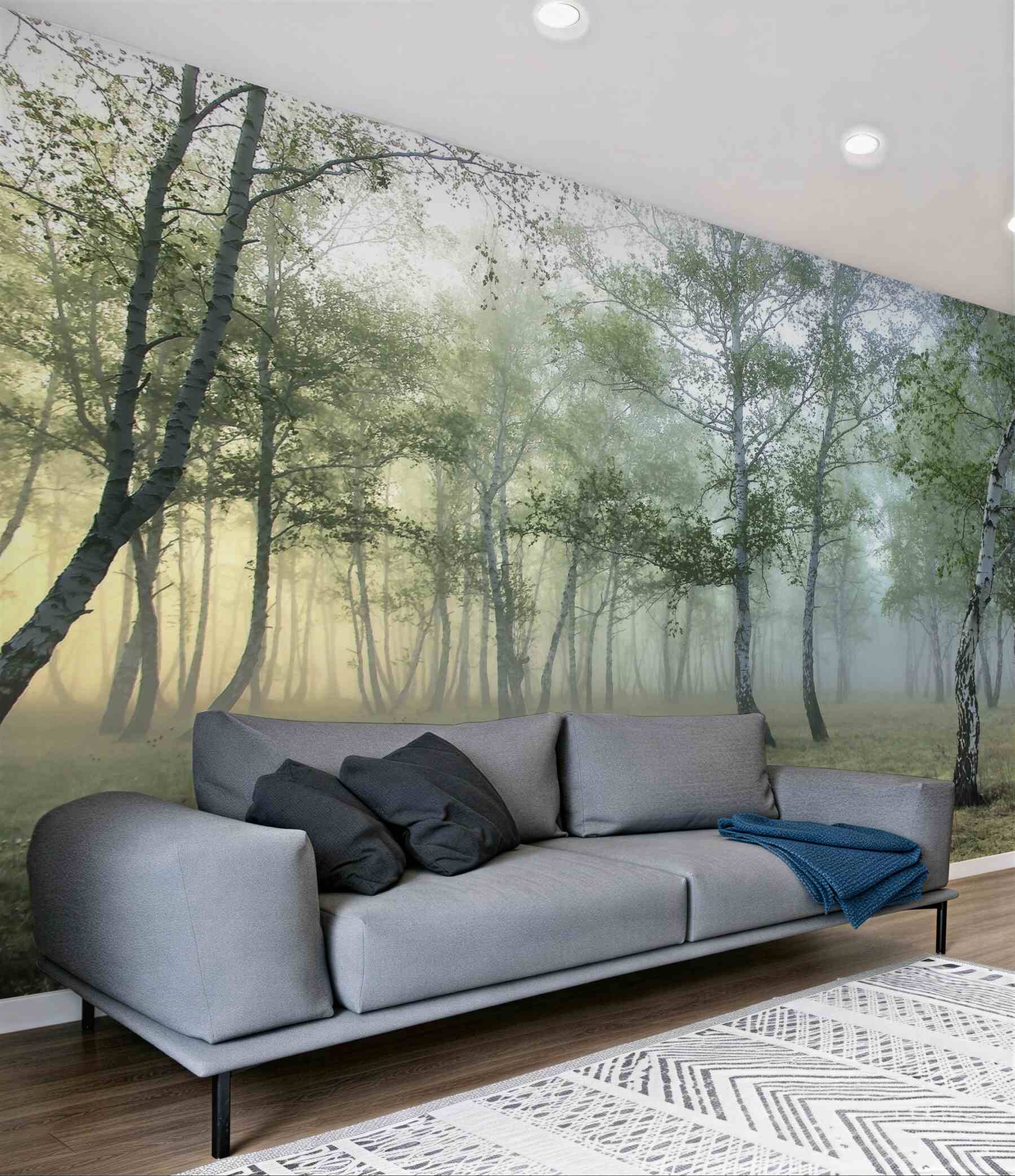 Fototapeta smukłe brzozy w porannej mgle?v23