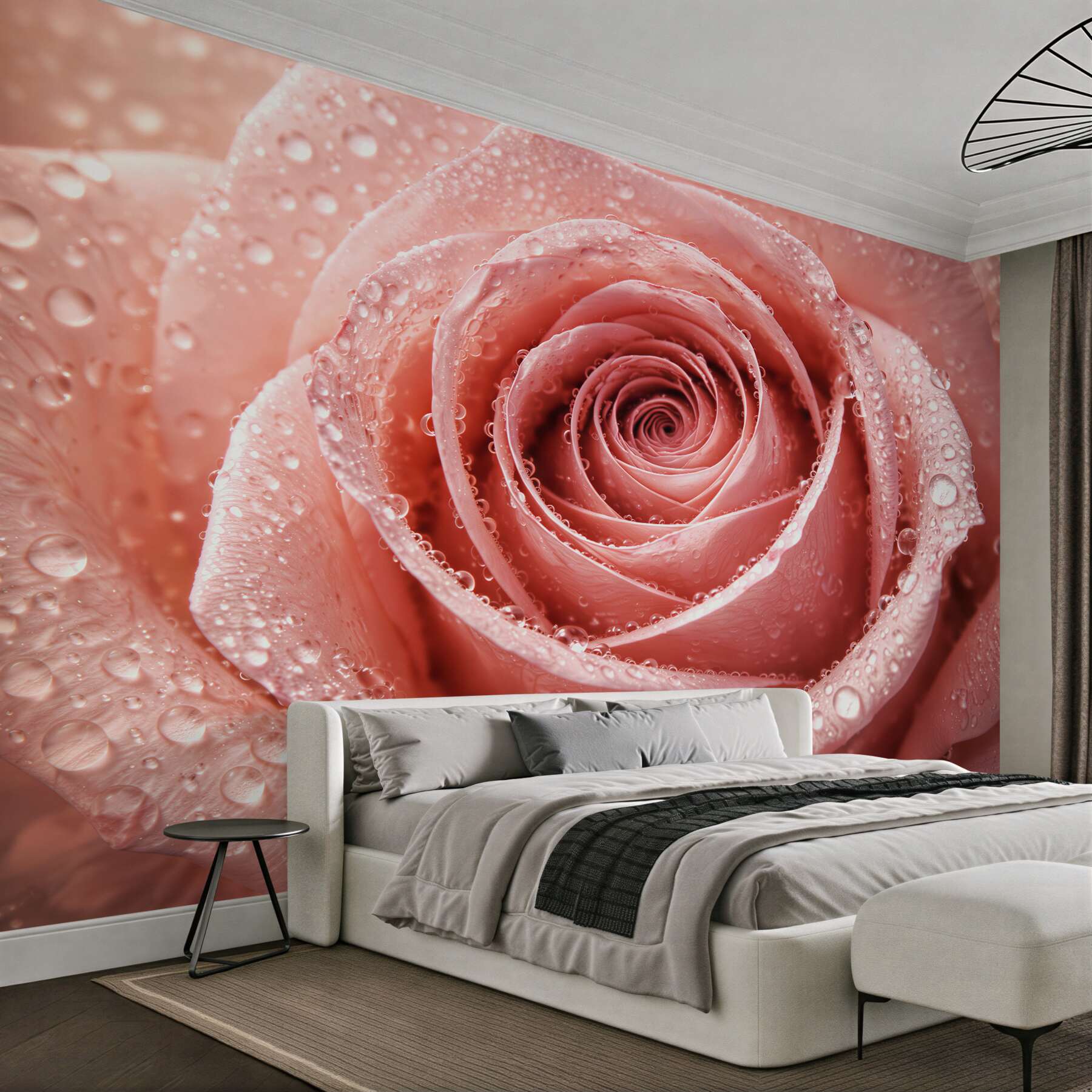 Fototapeta pudrowa róża w kroplach rosy
