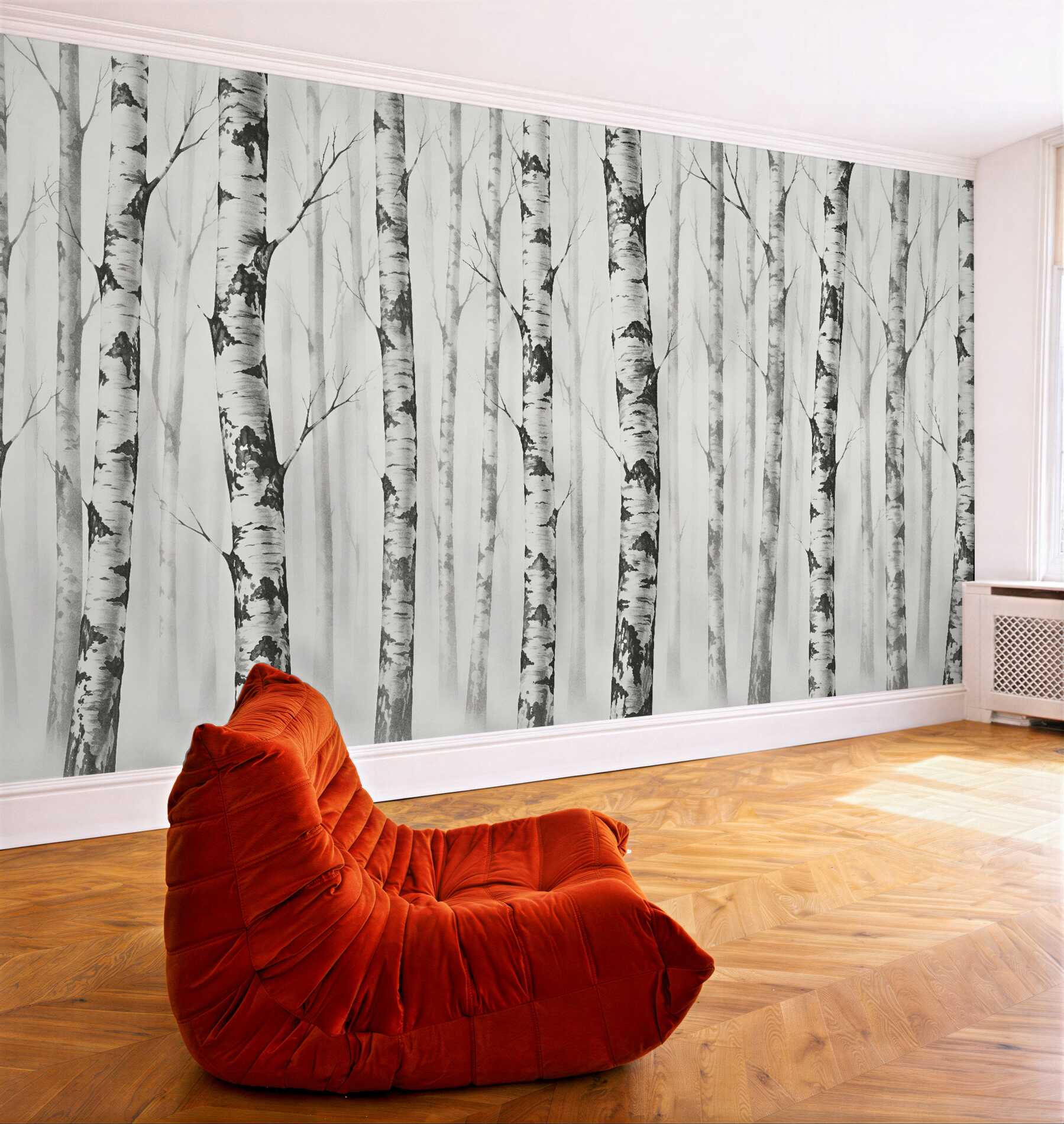 Fototapeta brzozowy las we mgle?v23